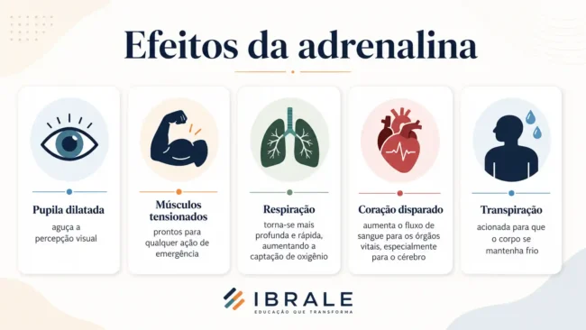 Infográfico sobre efeitos da adrenalina no corpo, com pupila dilatada, músculos tensionados, respiração acelerada, coração disparado e transpiração