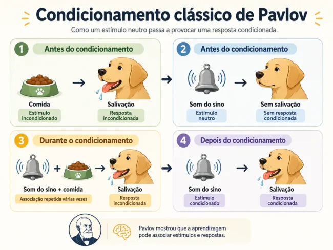 Infográfico em português sobre o condicionamento clássico de Pavlov, mostrando comida, sino e salivação do cão antes, durante e depois do condicionamento
