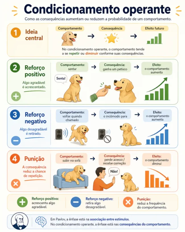 Infográfico em português sobre condicionamento operante, mostrando reforço positivo, reforço negativo e punição com exemplos didáticos