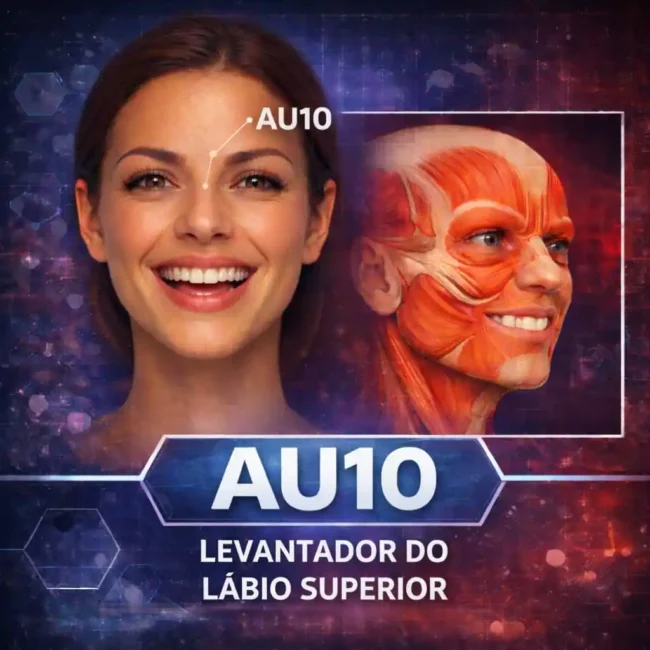 AU10 na anatomia facial mostrando o levantador do lábio superior segundo o FACS e sua relação com microexpressões e leitura emocional