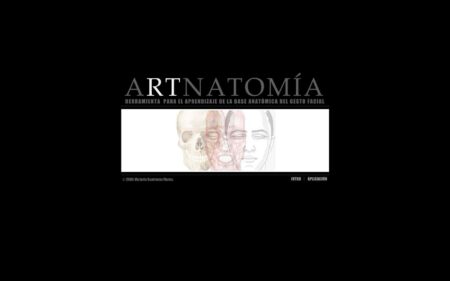 artnatomia codigos-acao-facial-artnatomia
