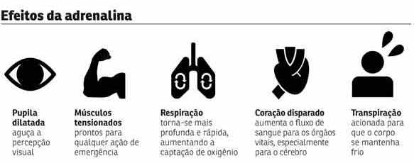 unico-sinal-rosto-ibralc-linguagem-corporal